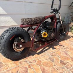 Coleman Mini Bike