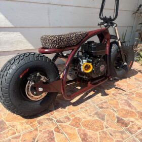 Coleman Mini Bike