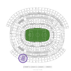 United States vs Paraguay - World Cup - Group D (Match 4)